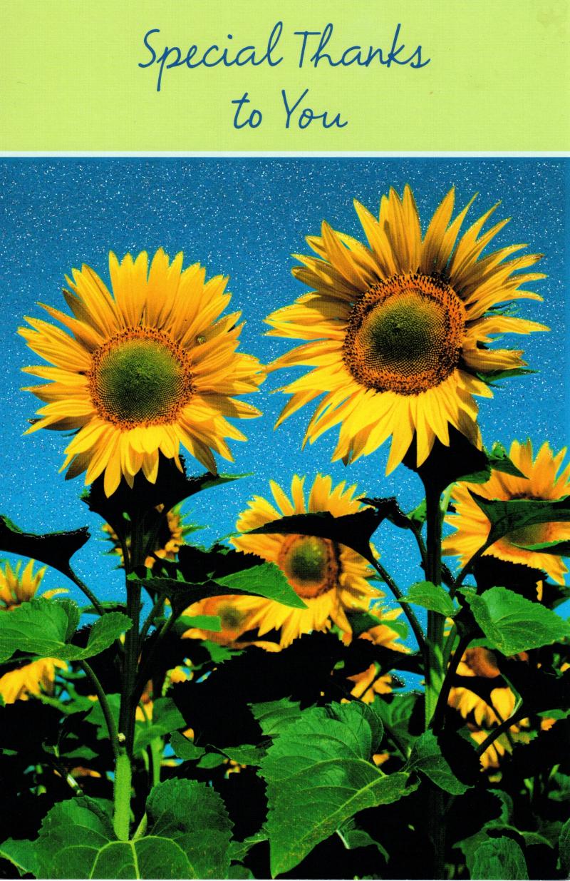 Golden Age Bowling League